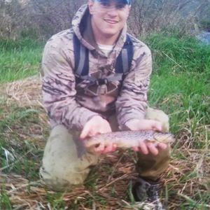 Meet your Posher, Benjamin